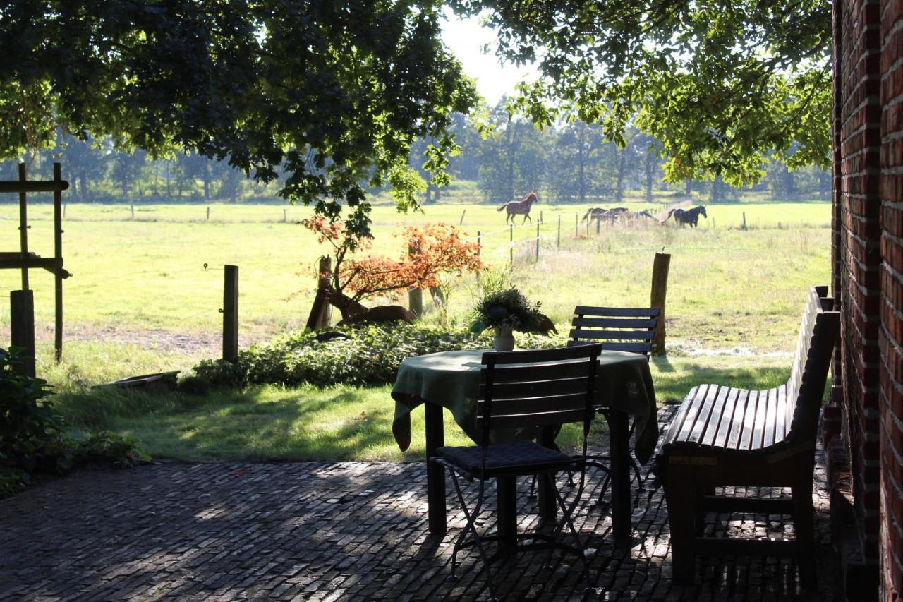 Ferienhaus Auf Gut Sautmannshausen Haselünne エクステリア 写真