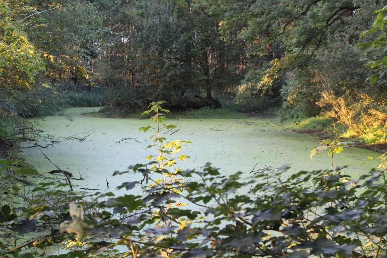 Ferienhaus Auf Gut Sautmannshausen Haselünne エクステリア 写真