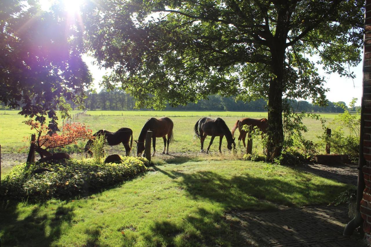 Ferienhaus Auf Gut Sautmannshausen Haselünne エクステリア 写真